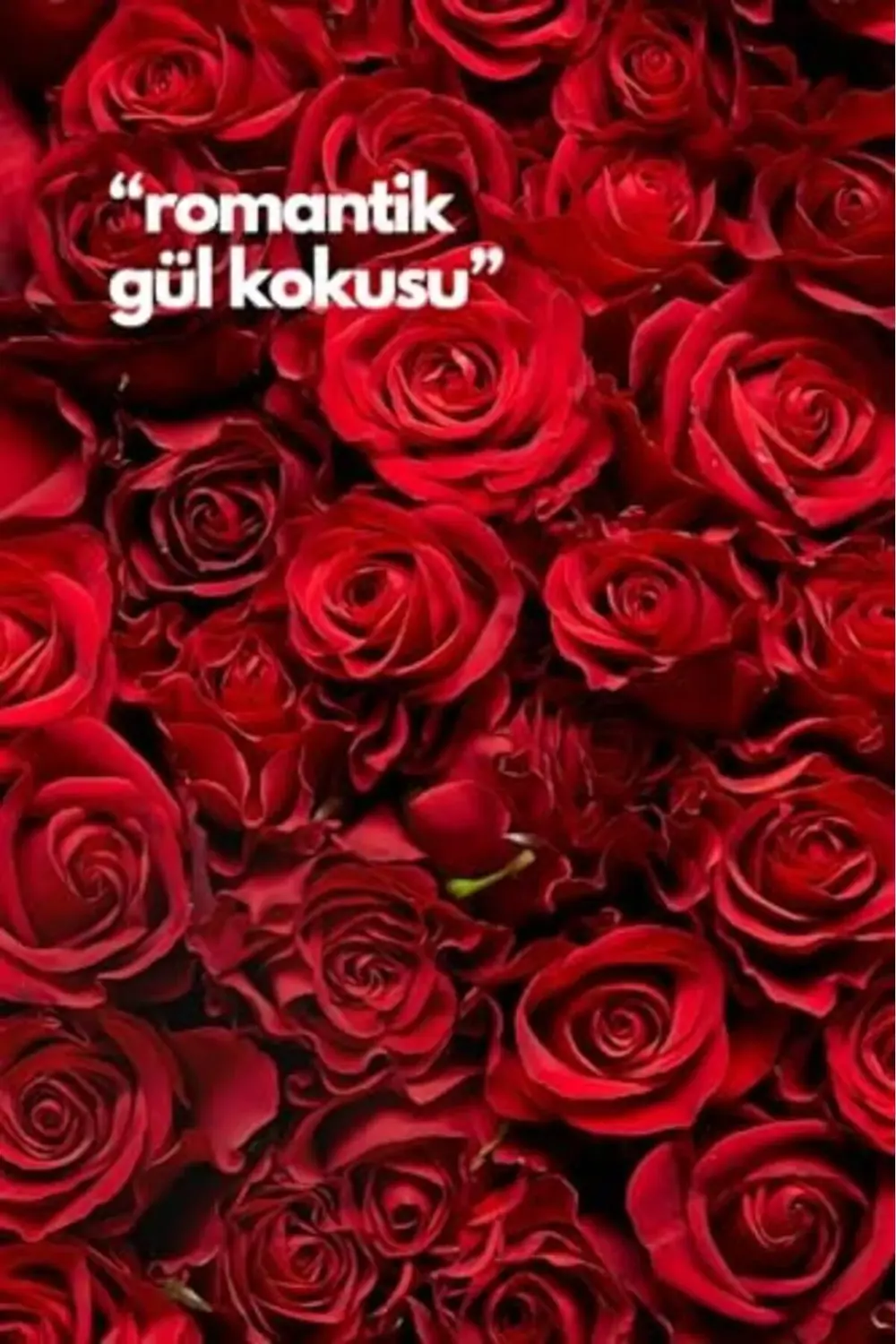 trendyvision ALYA 's Scents Rose- Gül Oda Kokusu Yedek Makine Spr