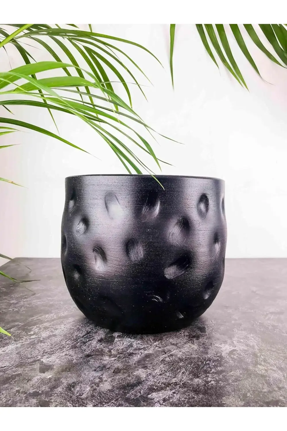 trendyvision Bitki Tasarımı Ev Dekorasyon Aksesuar Siyah Desenli