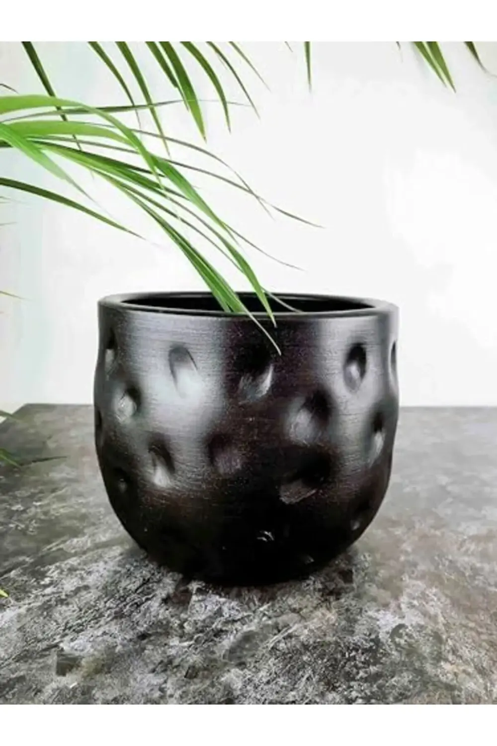 trendyvision Bitki Tasarımı Ev Dekorasyon Aksesuar Siyah Desenli