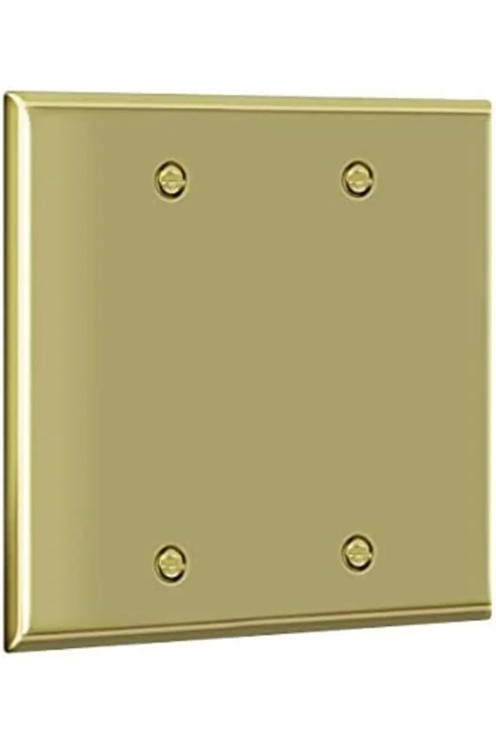 trendyvision Boş Cihaz Metal Duvar Plakası, Paslanmaz Çelik Koroz