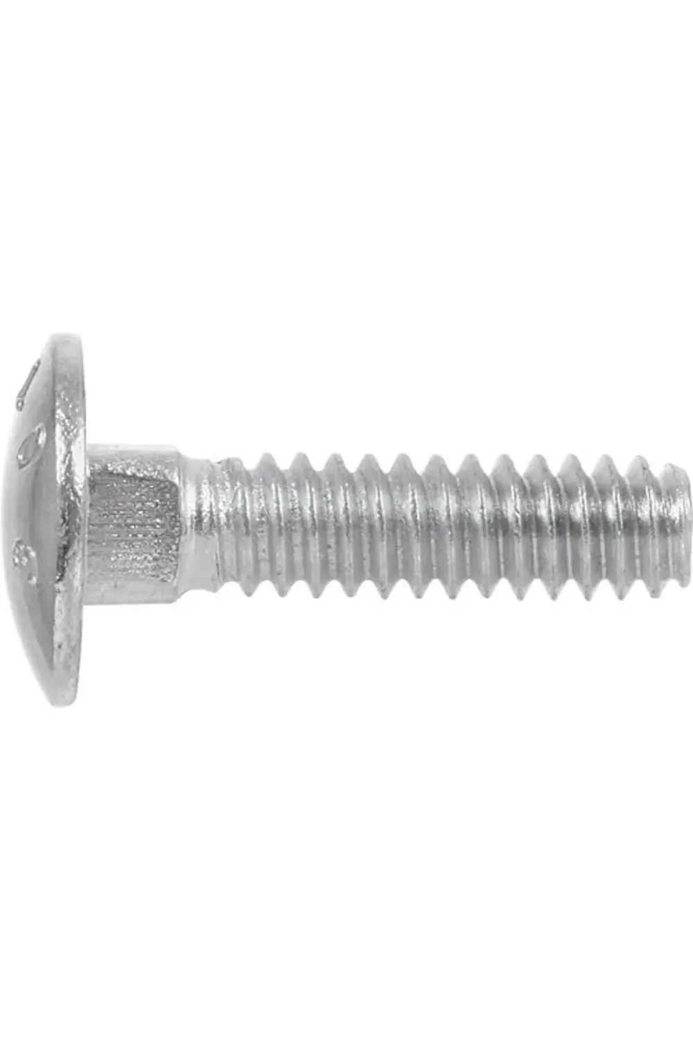 trendyvision Carriage Bolt, Steel, 5/16-18 x 2-In., 100-Pk. -2400