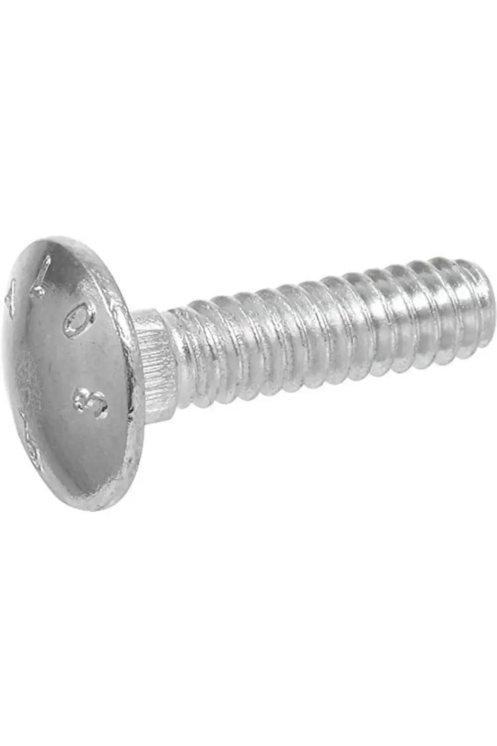 trendyvision Carriage Bolt, Steel, 5/16-18 x 2-In., 100-Pk. -2400