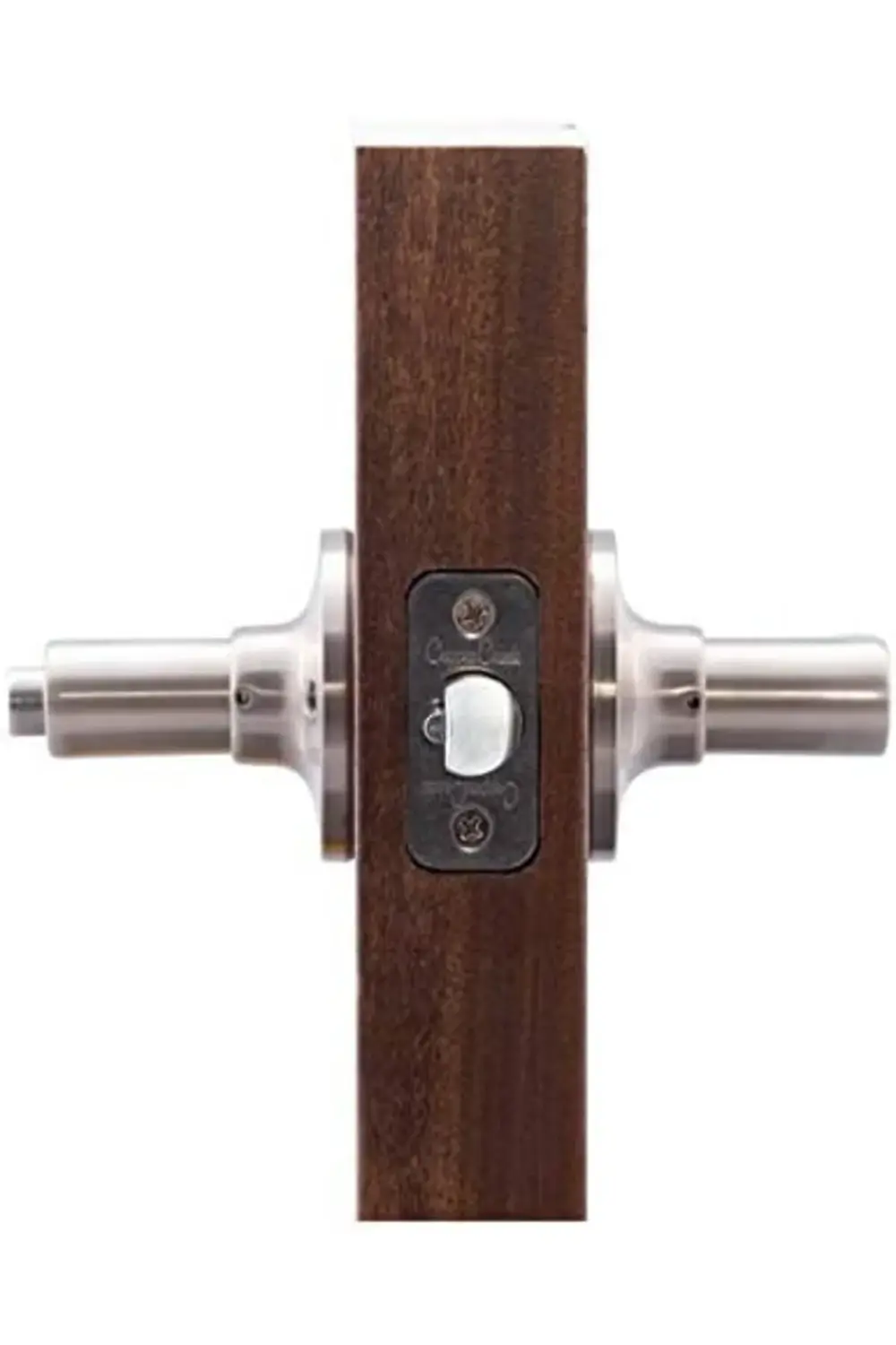 trendyvision DL1241SS Daley Kol, Nikel buyflicker 395519