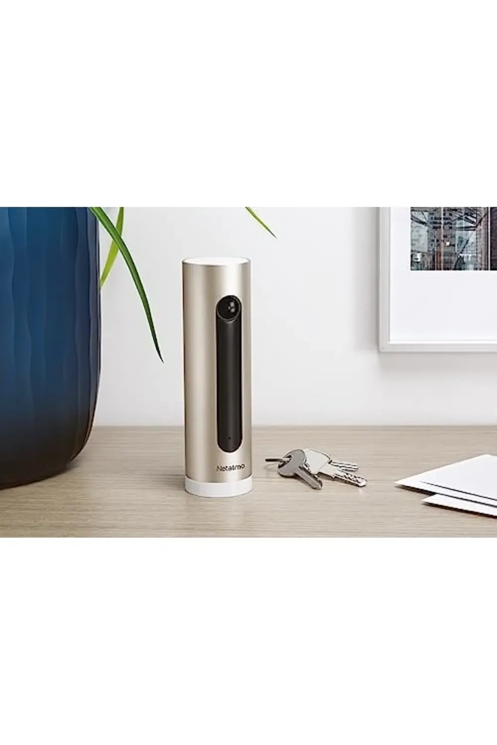 trendyvision İç Mekan Akıllı Güvenlik Kamerası NSC01-EU buyflicke