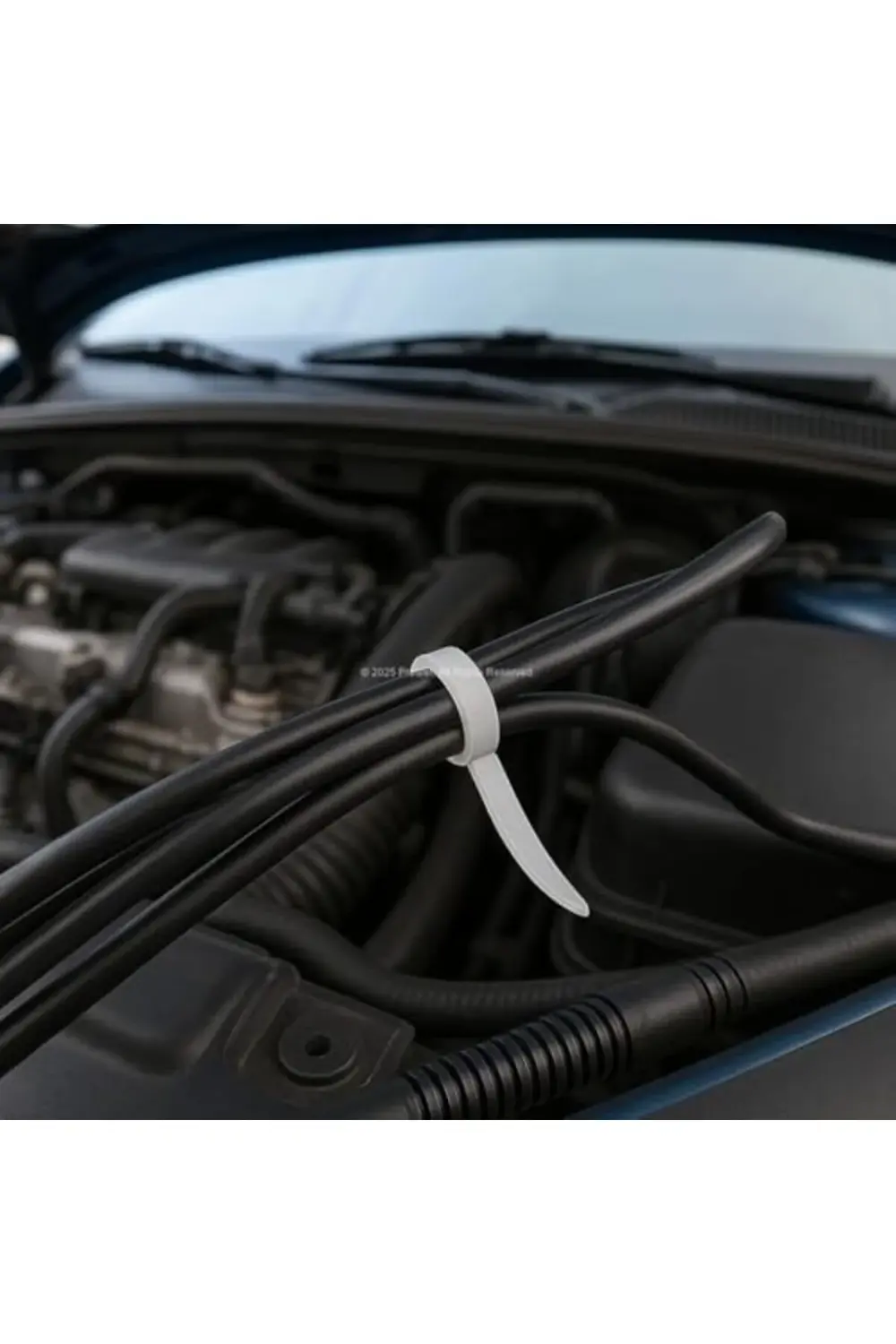 trendyvision Plastik Kablo Bağı, 100 Adet, Dayanıklı, Kablo Tuttu