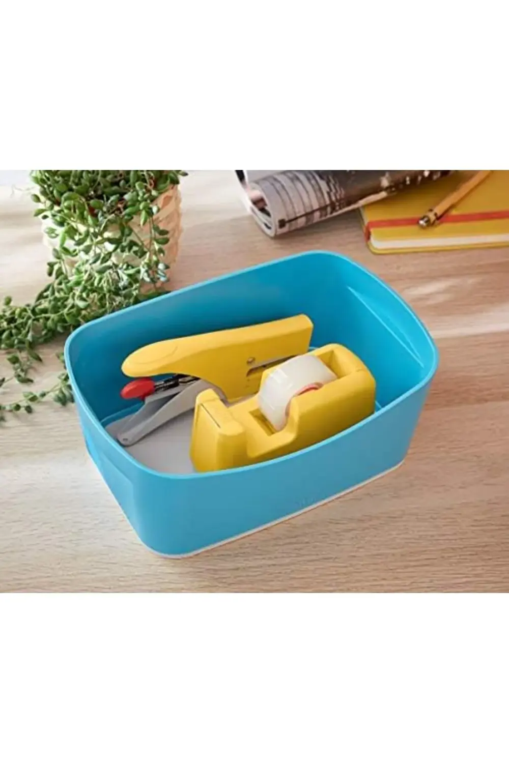 trendyvision Saklama Kutusu (Tekli Ambalaj) buyflicker 395519