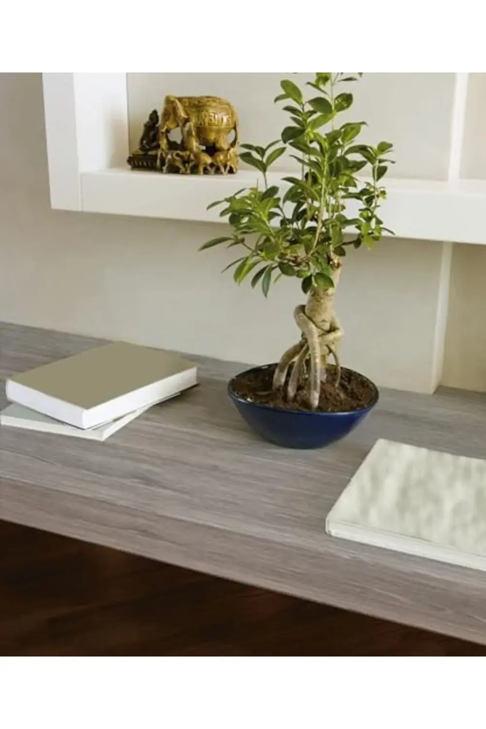 trendyvision Yapışkanlı Folyo, Ahşap Sedefli Gri, 45 X 200 Cm buy