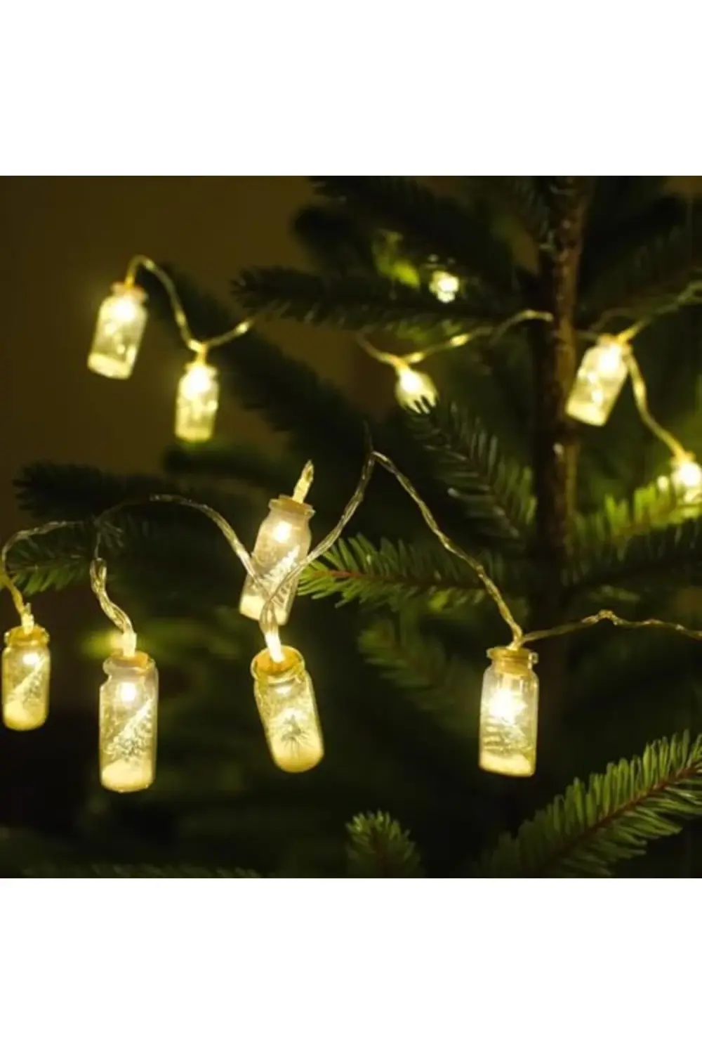 trendyvision YILBAŞI LED ZİNCİR IŞIK CAM ŞİŞE 165CM 10 AMPUL AST6