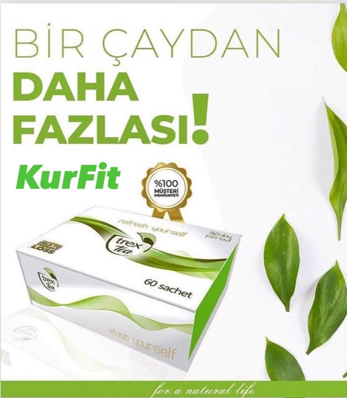Trex Tea  Bitkisel Çay 30 Günlük 60 Şase
