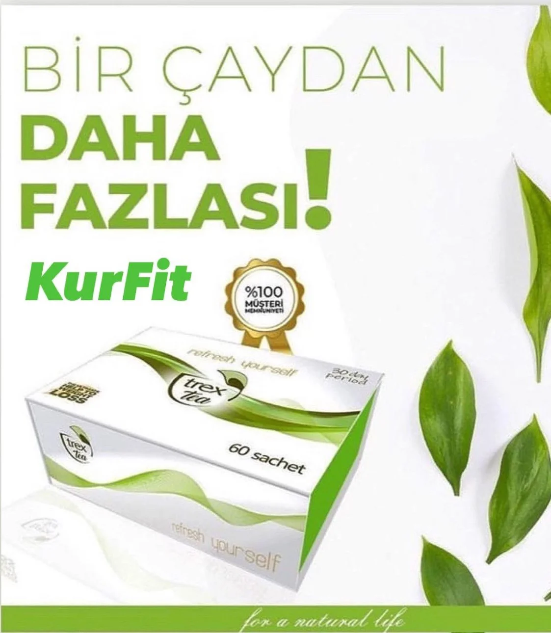 Trex Tea bitkisel çay 30 günlük 60 şase