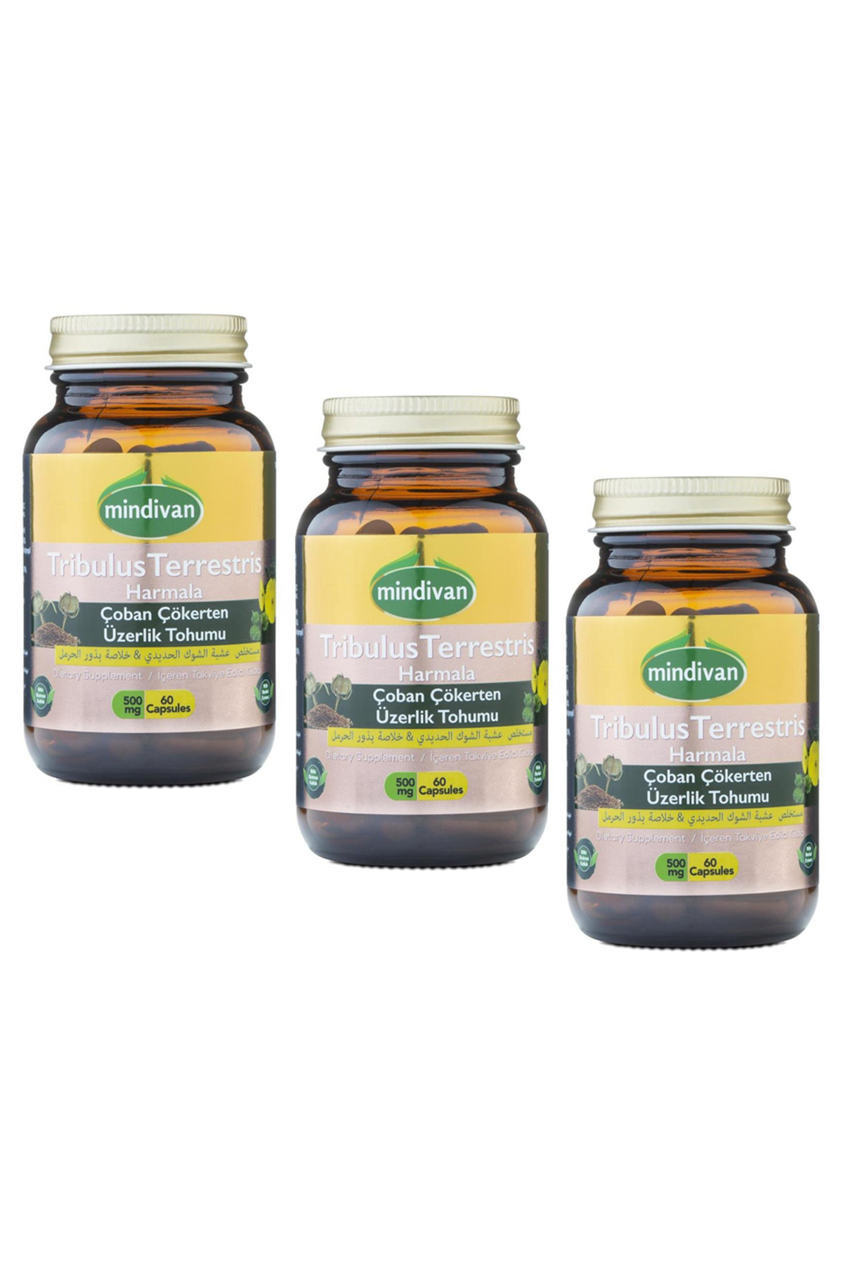 Mindivan Tribulus Terrestris For Men 500 Mg 60 Capsules X3 Piece