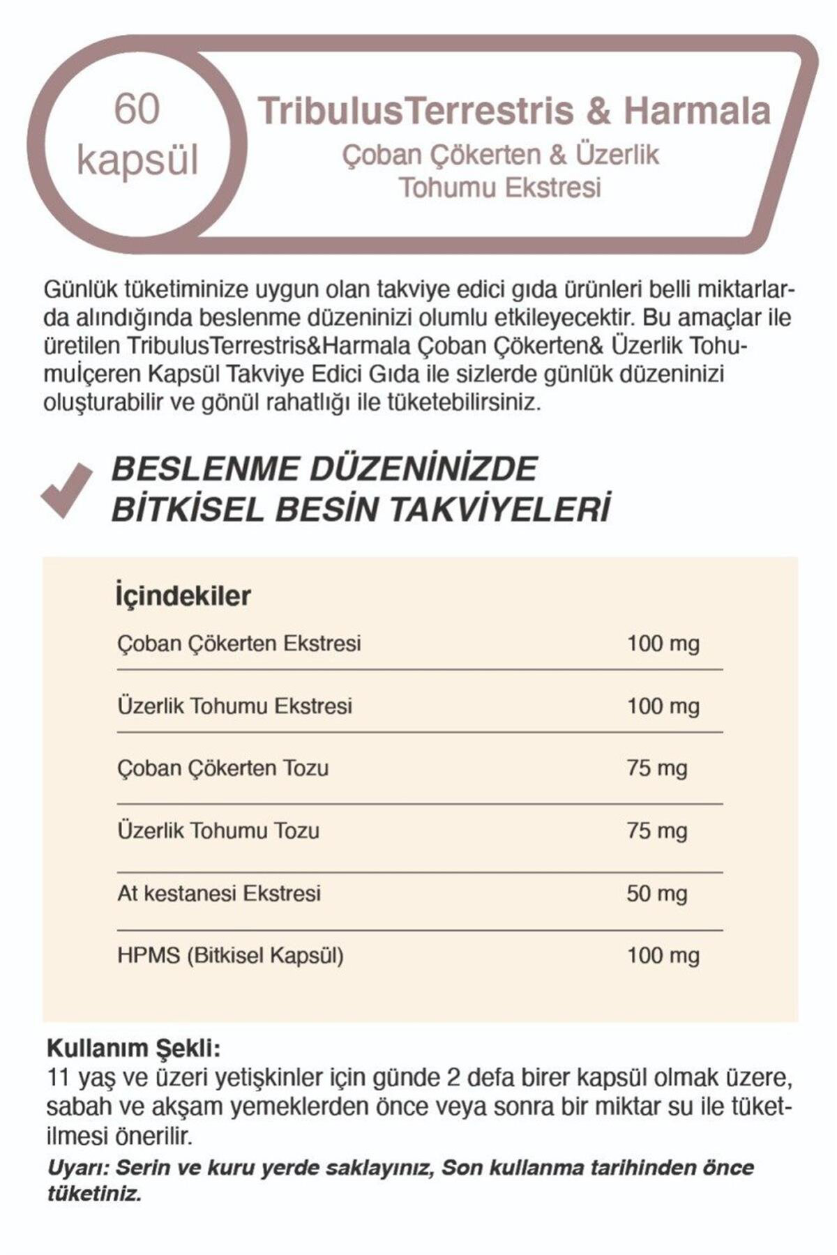 Mindivan Tribulus Terrestris For Men 500 Mg 60 Capsules X2 Piece