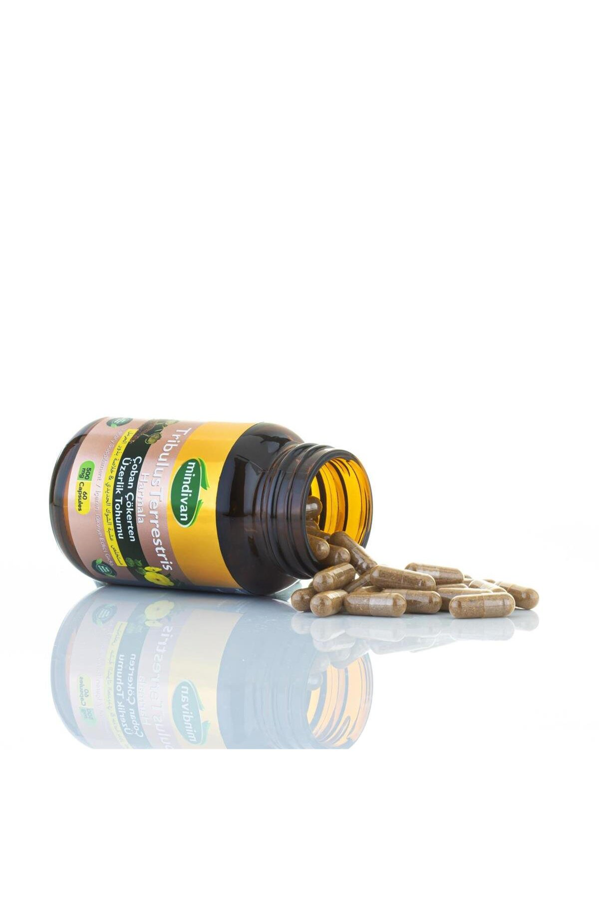 Tribulus Terrestris for Men 500 mg 60 Capsules