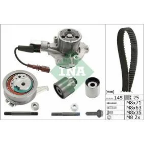Triger Seti (Devirdaimli) (INA)(530065030)(AUDI SKODA VW) Triger Seti (Devirdaimli) (INA)(530065030)(AUDI SKODA VW) Fiyatı, Yorumları ve Özellikleri