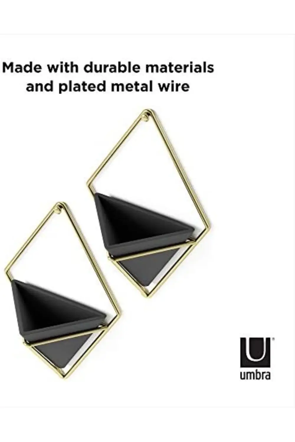 Trigg Duvar ve Geometrik Dekoasyon, Oda Bitkileri, Sukulentler, H