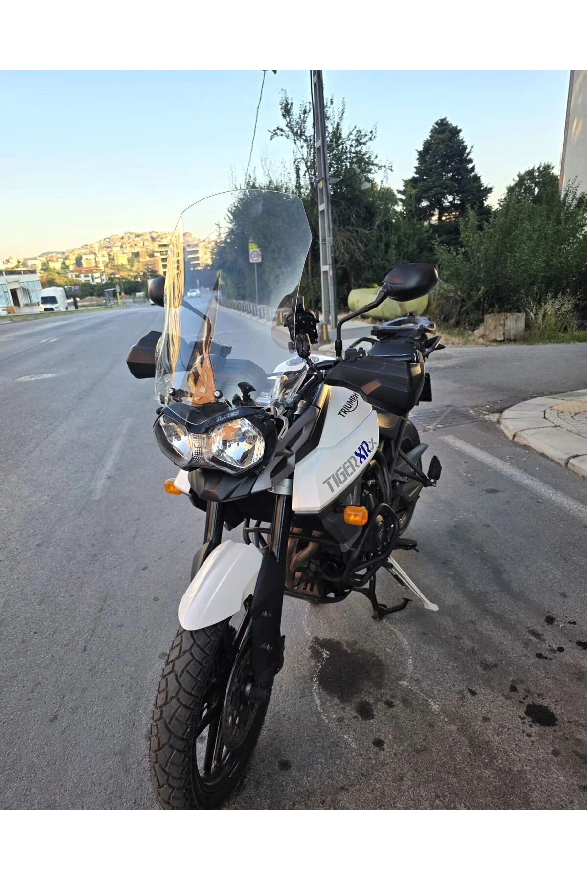 Triumph Tiger 800 XRX Ön Cam 2010-2018 Model 59cm Şeffaf Renkli 4mm