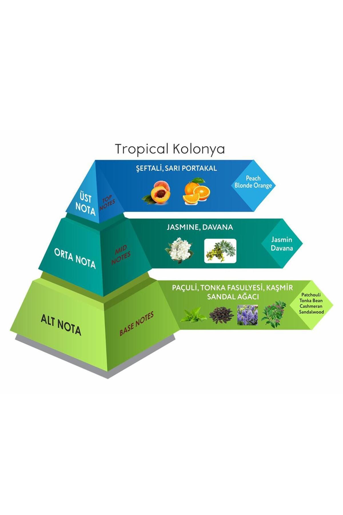 Tropical Cep Boy Kolonya Eau De Cologne 30 ML