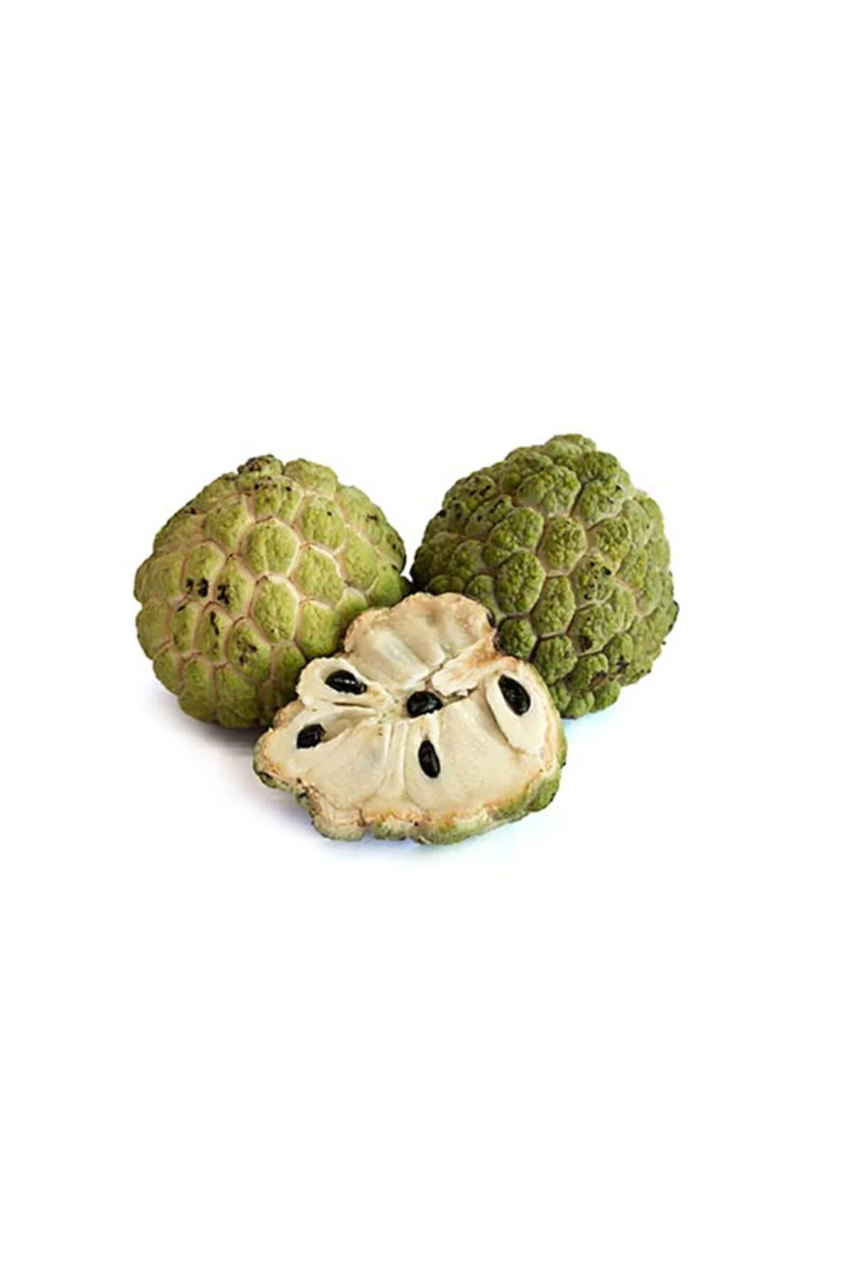 Tropikal Sugar Apple Meyvesi Tohumu 3 Adet Tohum Şeker Elma Fiyatı, Yorumları ve Özellikleri
