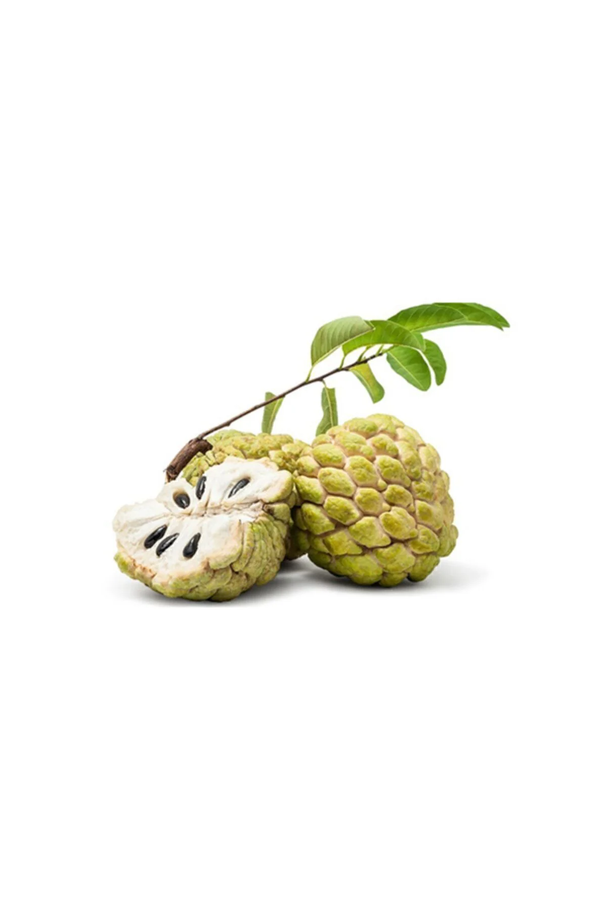 Tropikal Sugar Apple Meyvesi Tohumu 3 Adet Tohum Şeker Elma Fiyatı, Yorumları ve Özellikleri