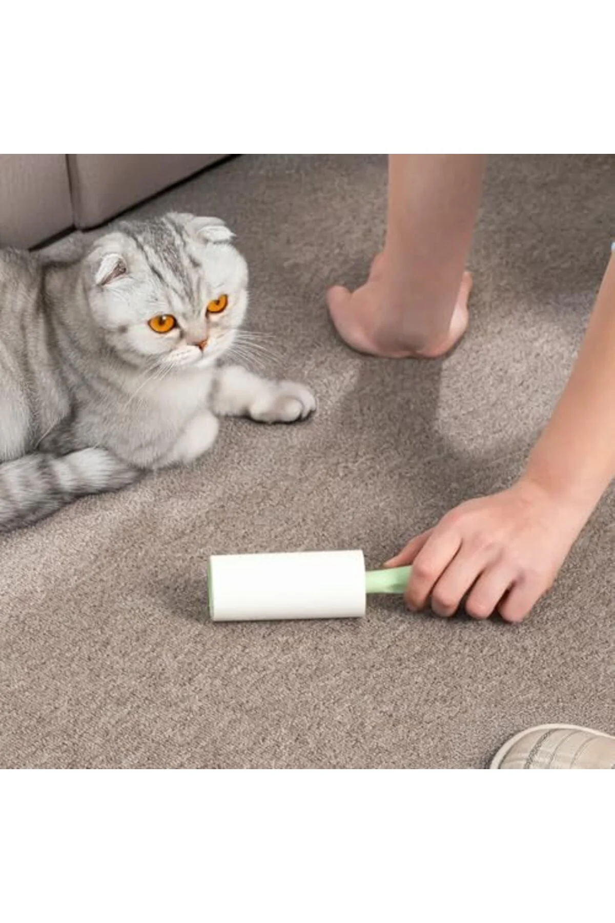TTKTEKNOLOJİ 3107 Kedi Köpek Tüy Toplayıcı Rulo + 4 Adet Yedek Ru