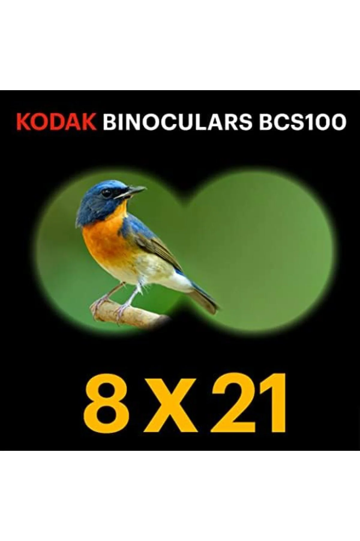 TTKTEKNOLOJİ BCS100-BL Binocular 8x21mm Dürbün - Mavi TTKTEKNOLOJ
