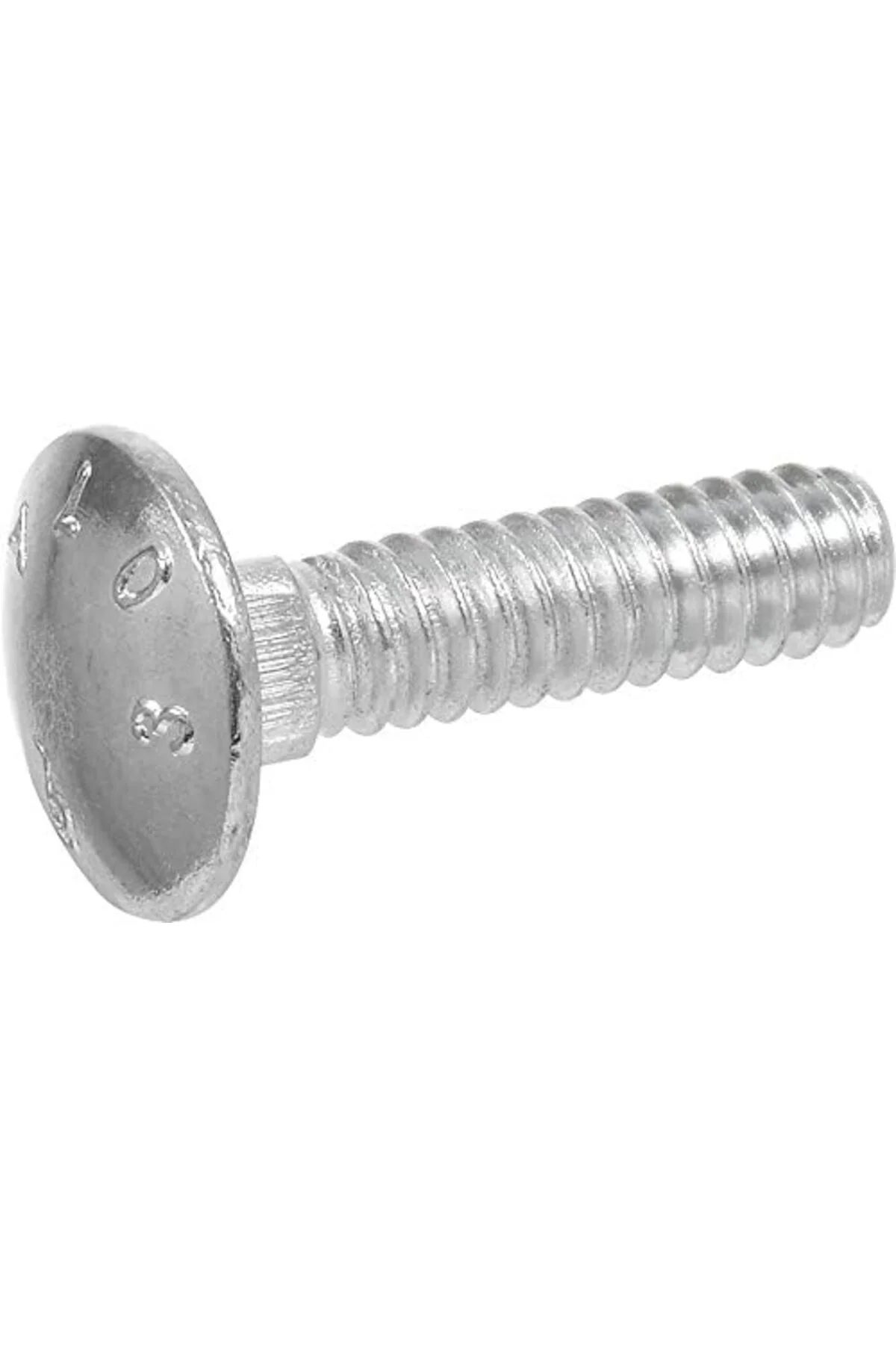 TTKTEKNOLOJİ Carriage Bolt, Steel, 5/16-18 x 1-In., 100-Pk. -2400