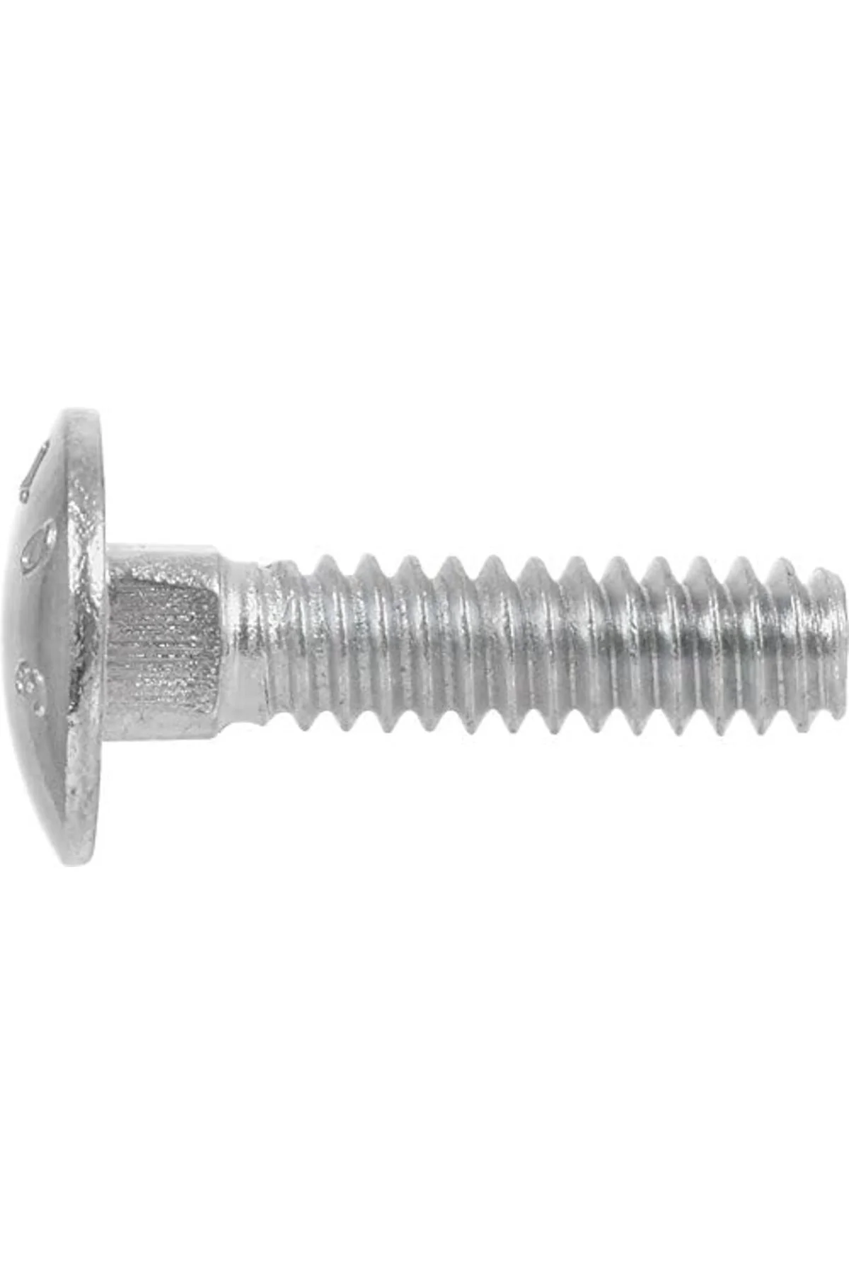 TTKTEKNOLOJİ Carriage Bolt, Steel, 5/16-18 x 1-In., 100-Pk. -2400