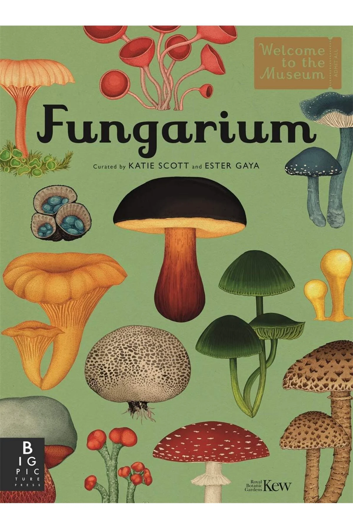 TTKTEKNOLOJİ Fungarium TTKTEKNOLOJİ 395519