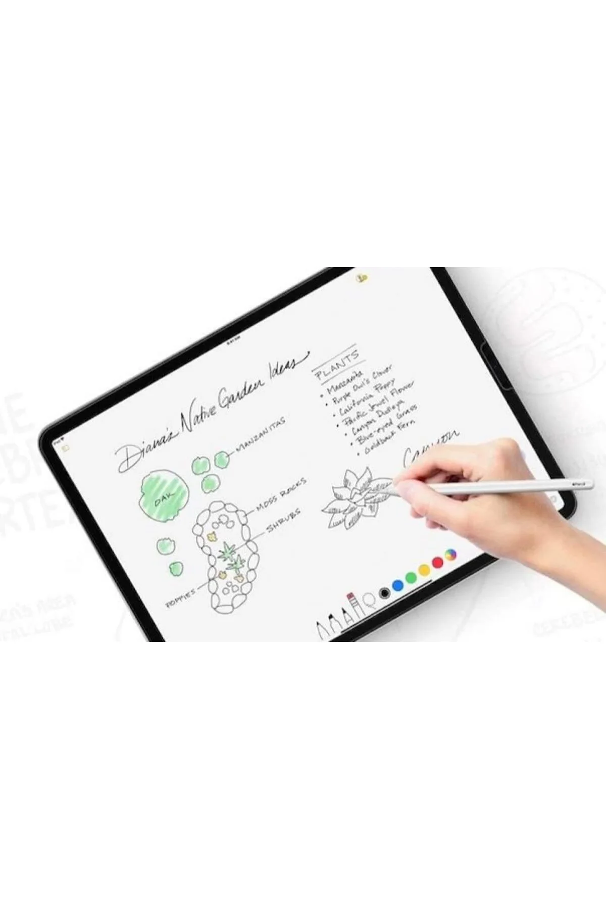 TTKTEKNOLOJİ Galaxy Tab S9 11 inç ile Uyumlu Ekran Koruyucu Flexi