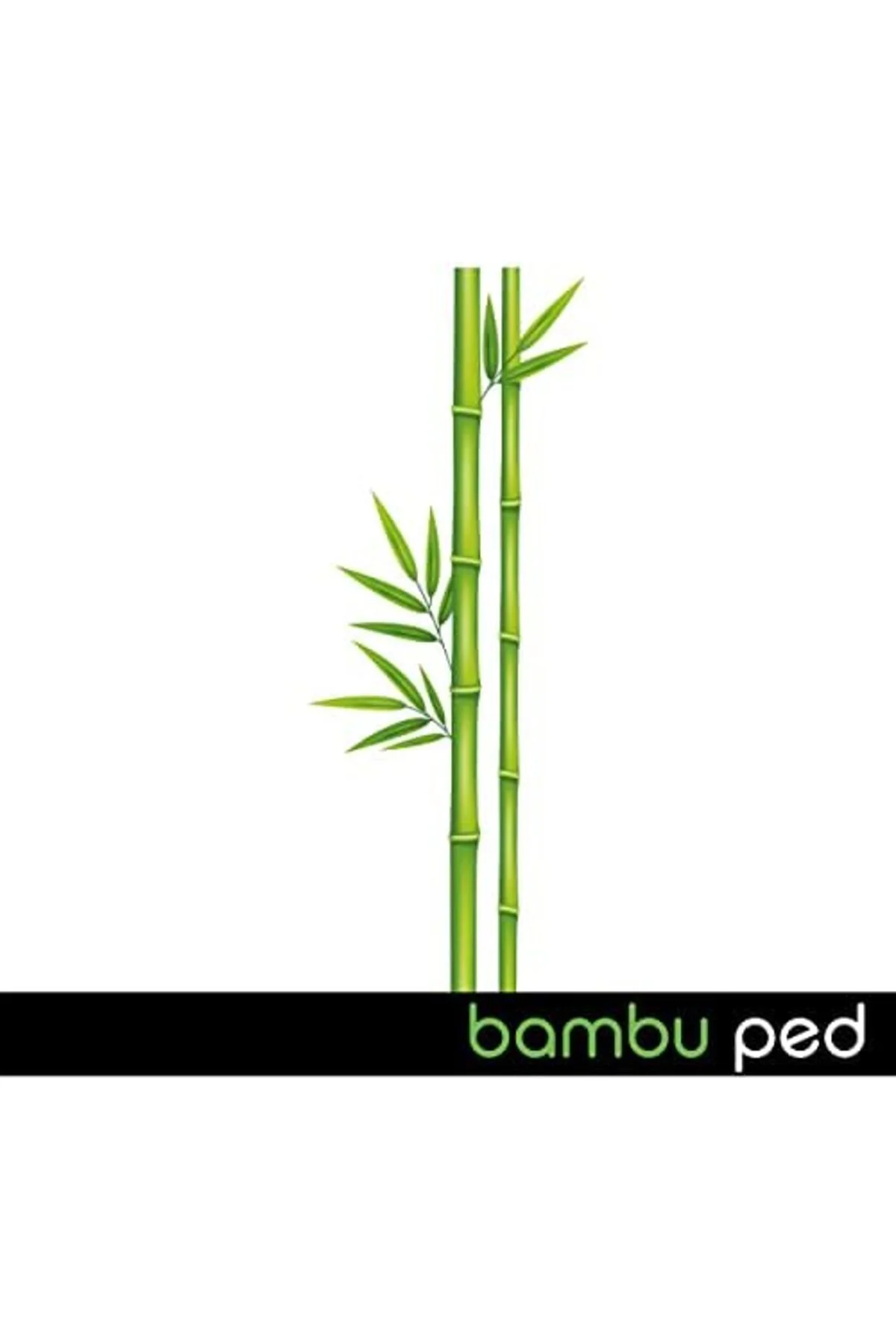 TTKTEKNOLOJİ Ladyfit Bambu Gece 216'lı Vegan Ped (12 x 18 Adet) ( TTKTEKNOLOJİ Ladyfit Bambu Gece 216'lı Vegan Ped (12 x 18 Adet) (