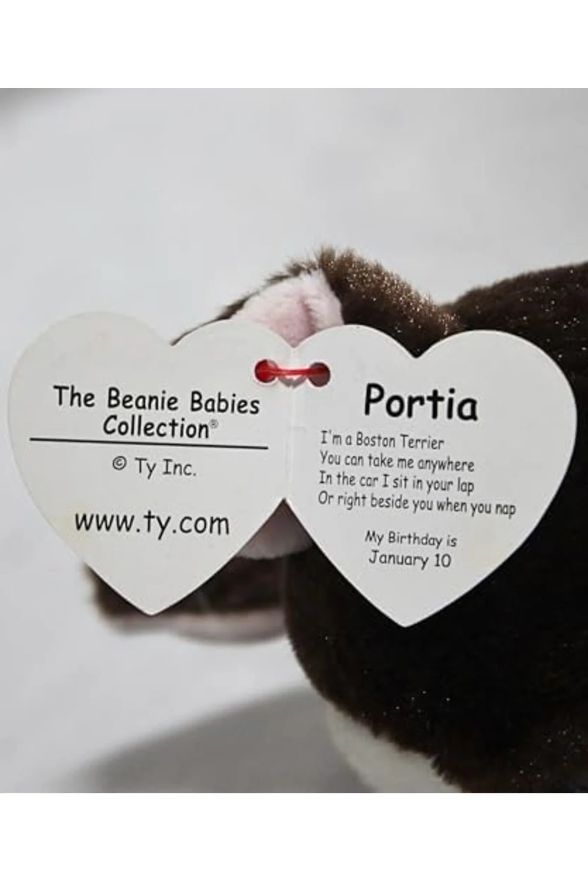TTKTEKNOLOJİ TY-Ty Beanie Babies Gabe Terrier 15 cm. TTKTEKNOLOJİ TTKTEKNOLOJİ TY-Ty Beanie Babies Gabe Terrier 15 cm. TTKTEKNOLOJİ
