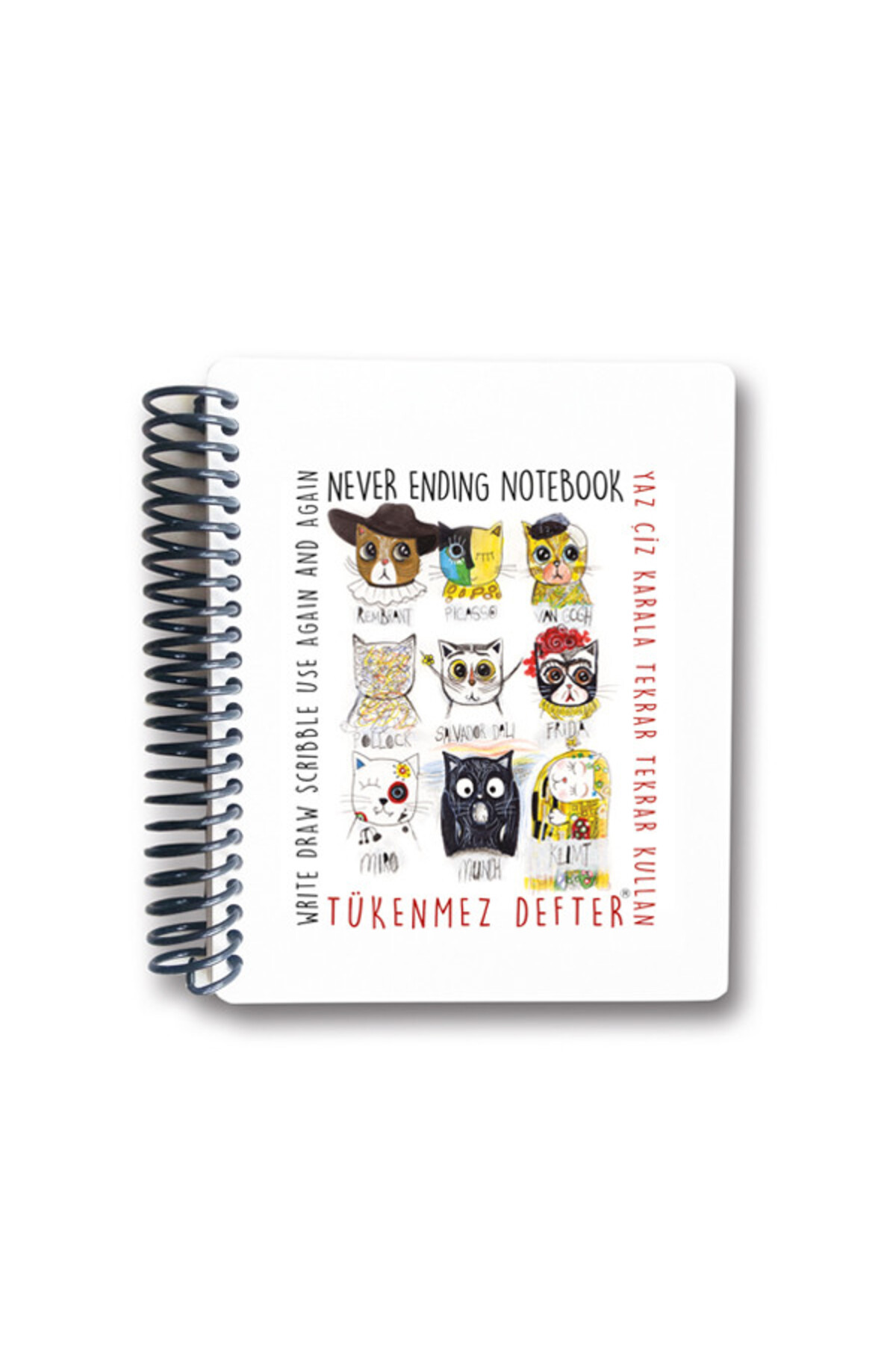 Destek Yayınları Tükenmez Not Defteri 4 Ressam Kediler 13X16 Cm