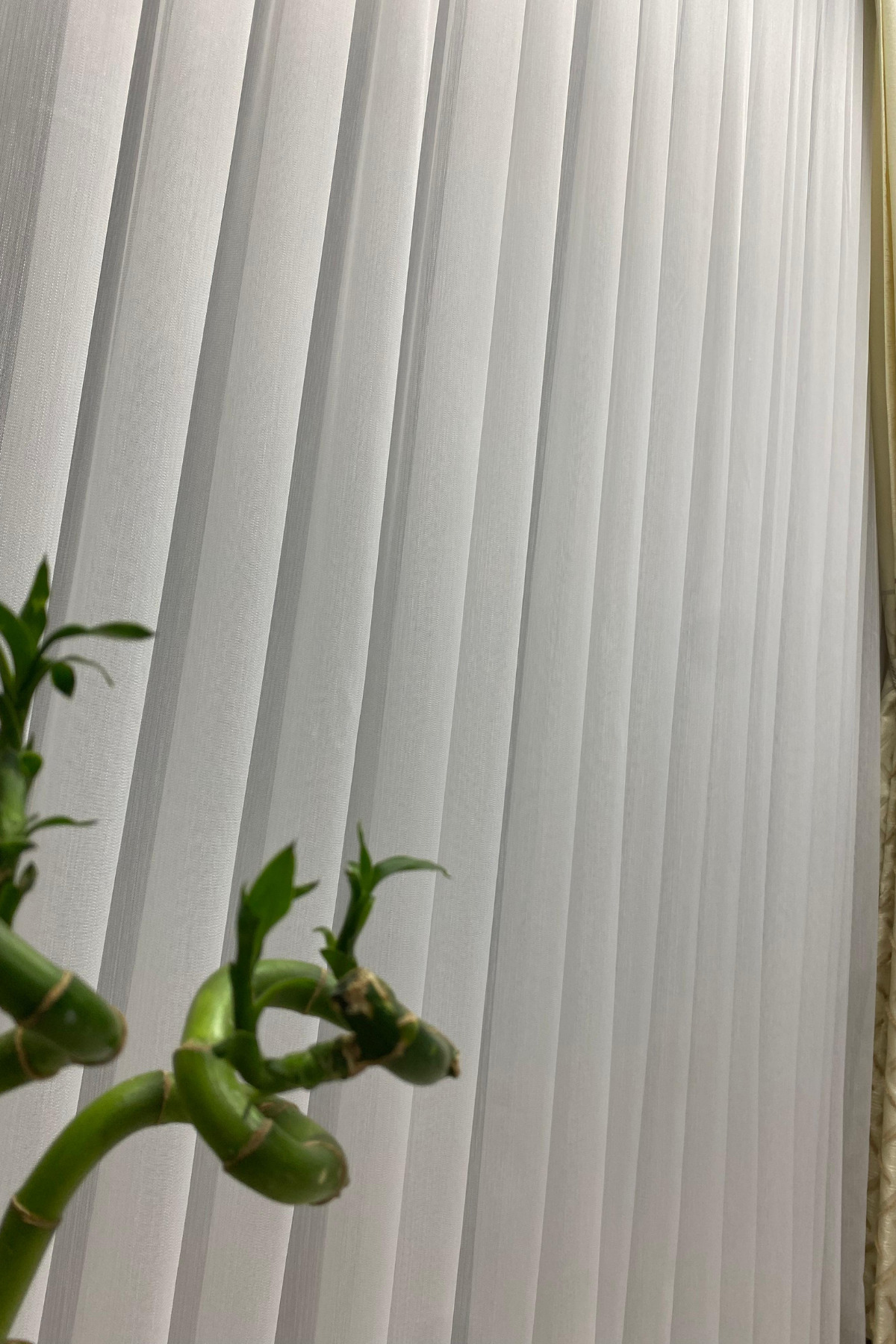 Özgün Home Tül Perde Ekru