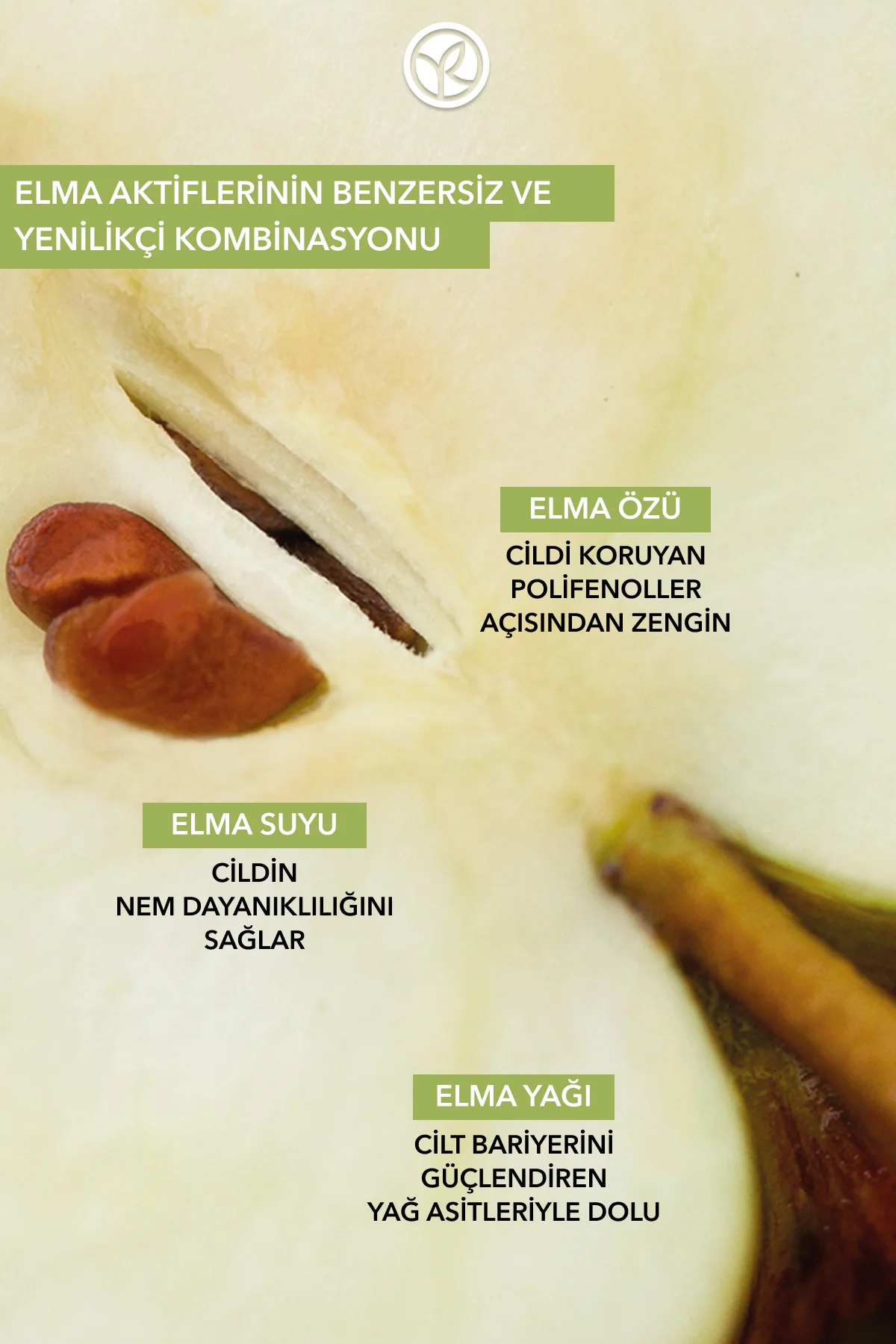 Tüm Aile Için Organik Sertifikalı Famille Bio Saç Ve Vücut Şampua