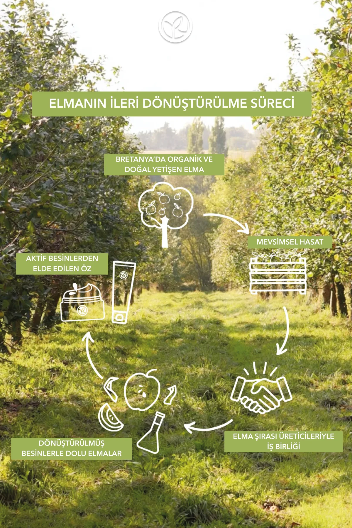 Tüm Aile Için Organik Sertifikalı Famille Bio Saç Ve Vücut Şampua