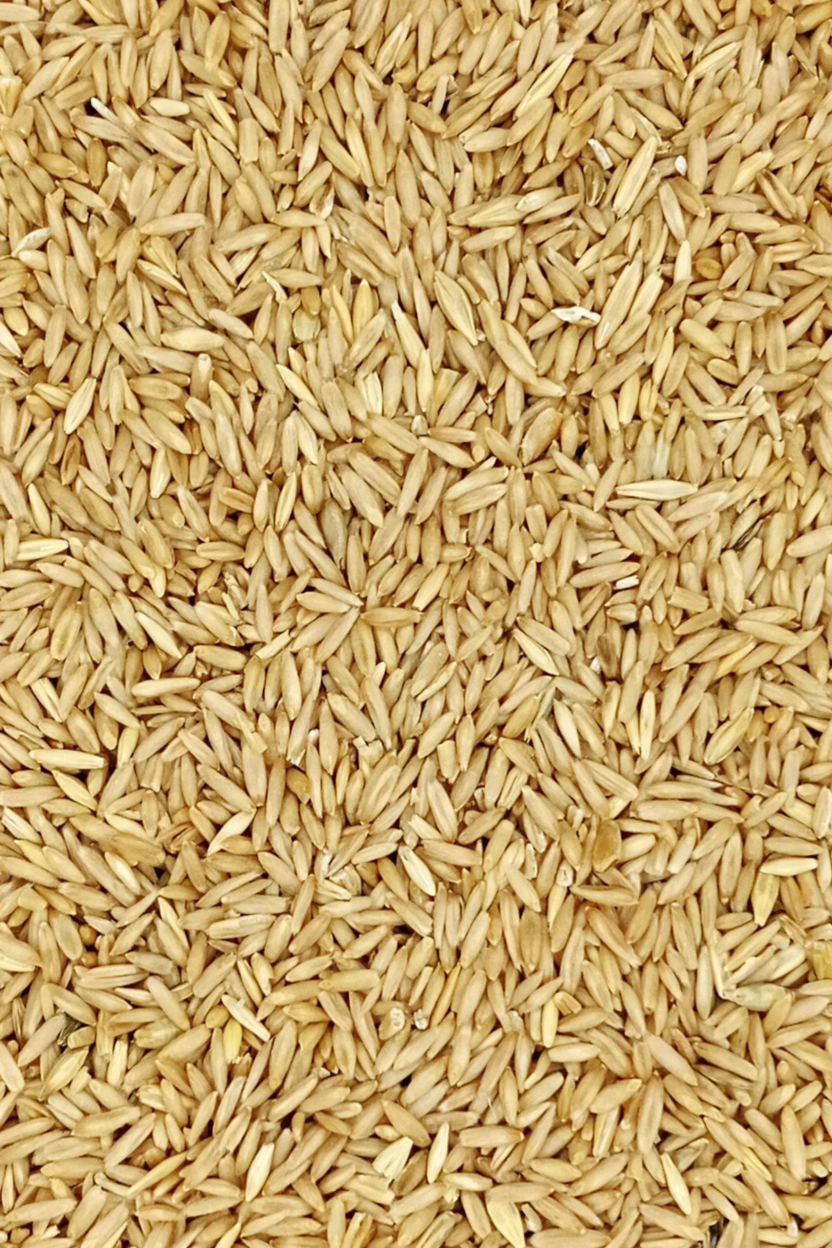 Tüm Kuşlar İçin Doğal Taze Soyulmuş İç Yulaf - 1 kg Tüm Kuşlar İçin Doğal Taze Soyulmuş İç Yulaf - 1 kg