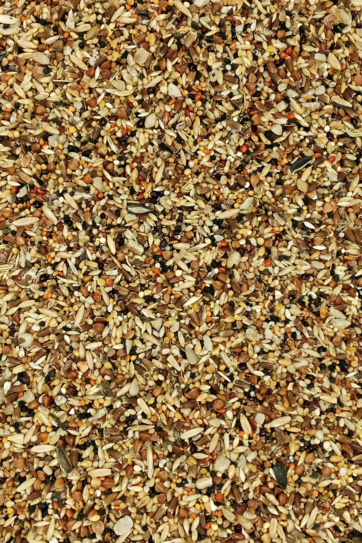 Tüm Kuşlar İçin Doğal Taze Sağlık Tohumu Karışımı - 3 kg Tüm Kuşlar İçin Doğal Taze Sağlık Tohumu Karışımı - 3 kg