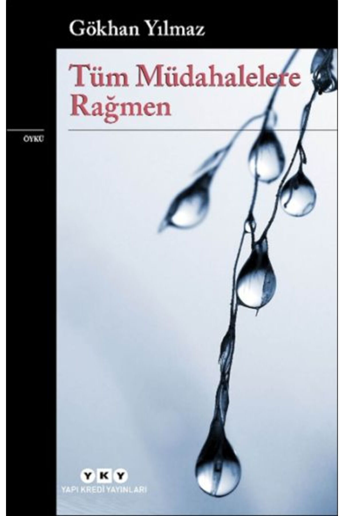 Tüm Müdahalelere Rağmen