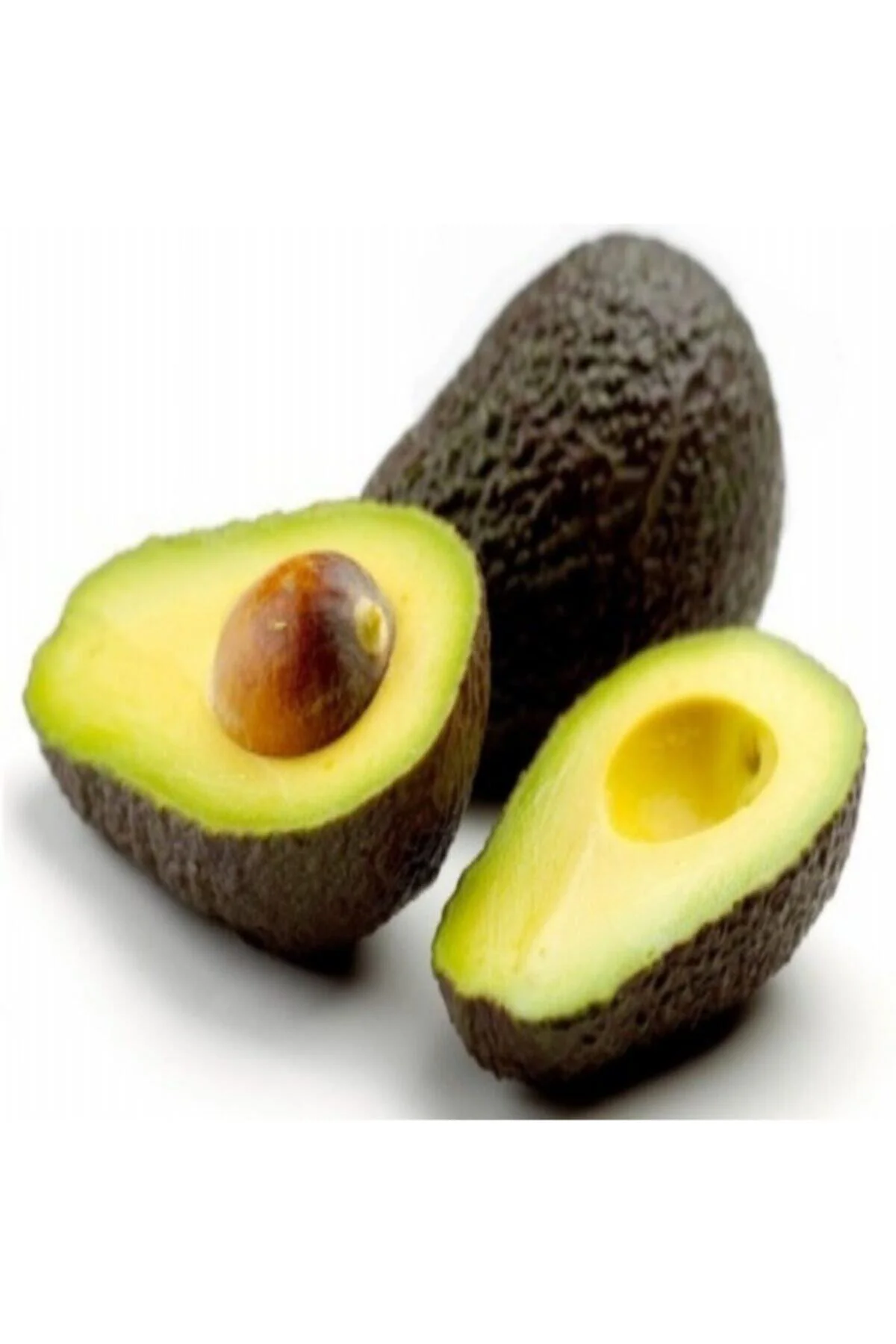 Tüplü Aşılı Has Black Avokado Fidanı