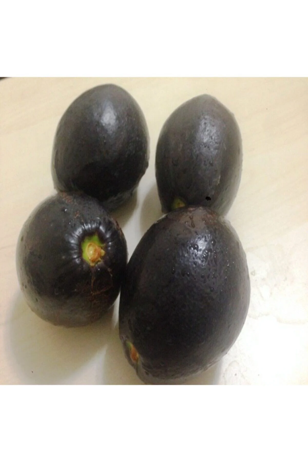 Tüplü Aşılı Has Black Avokado Fidanı