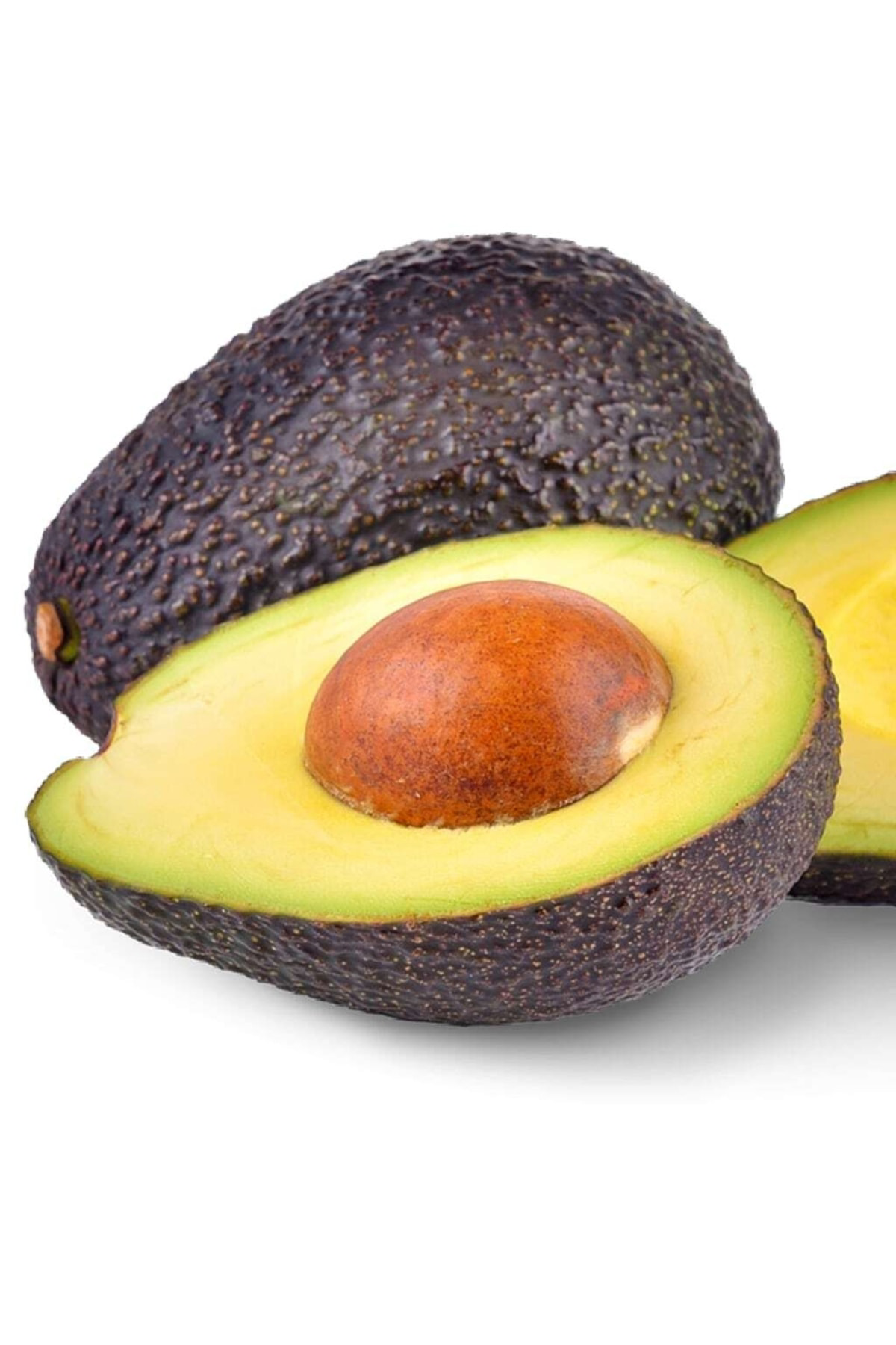 Tüplü Aşılı Hass Black Avokado Fidanı