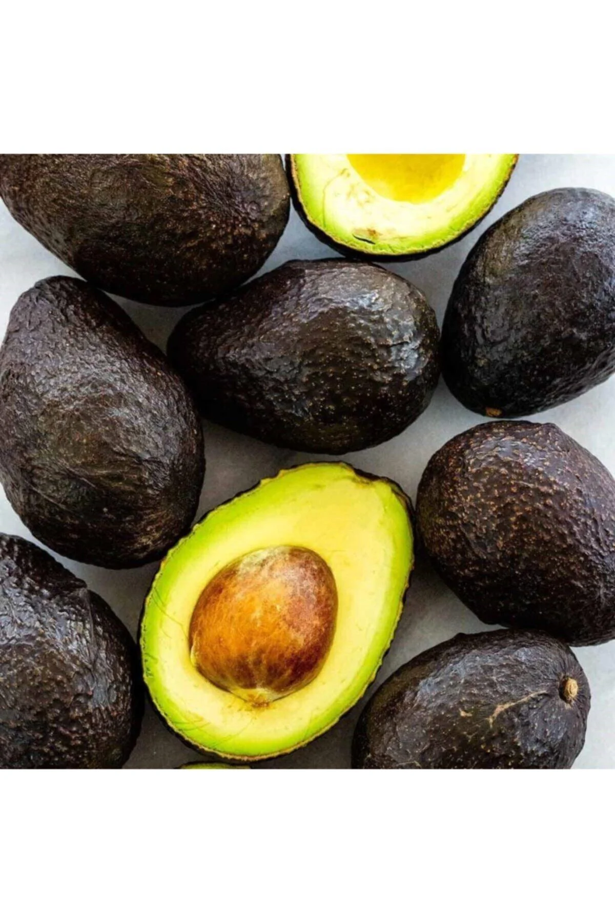 Tüplü Aşılı Nadir Has Black Avokado Fidanı