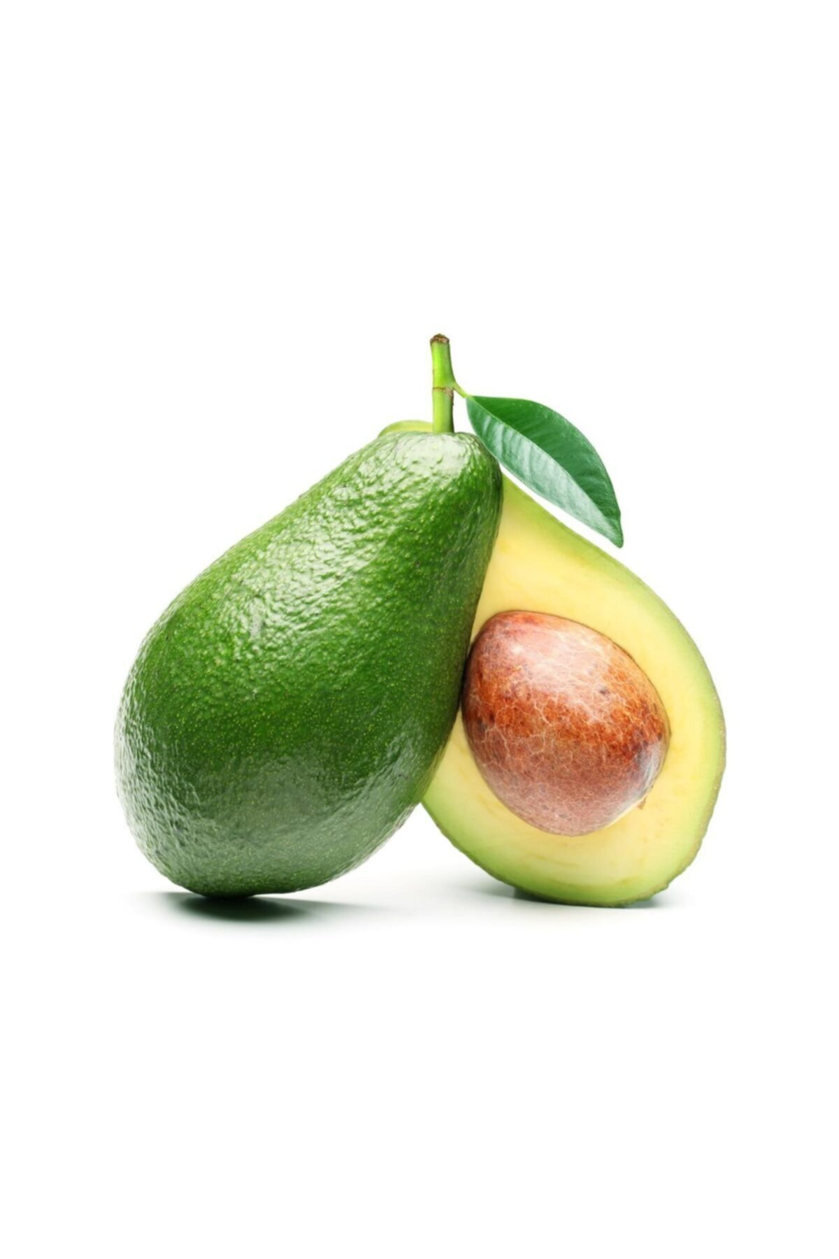 Tüplü Bacon Avokado Fidanı