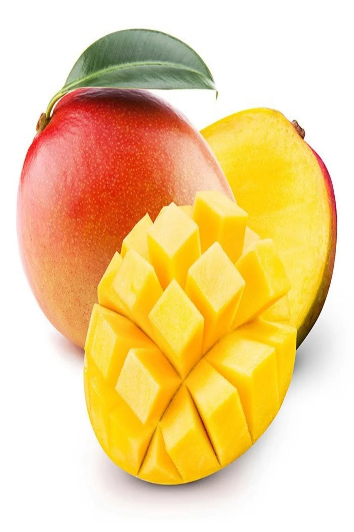 Tüplü Nadir Bulunan Mango Fidanı