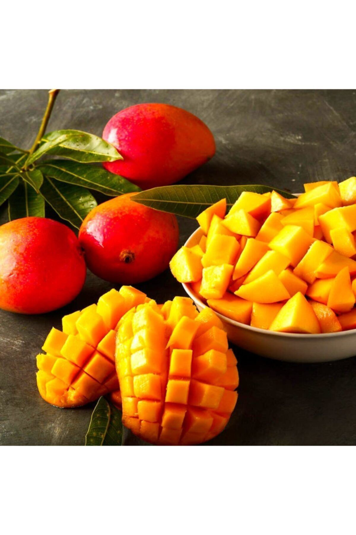 Tüplü Tropikal Egzotik Mango Fidanı 5 Adet