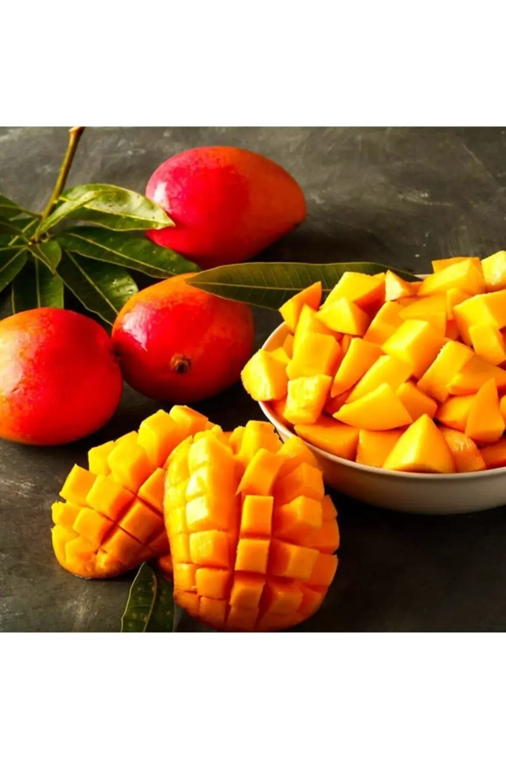 Tüplü Tropikal Egzotik Mango Fidanı 5 Adet