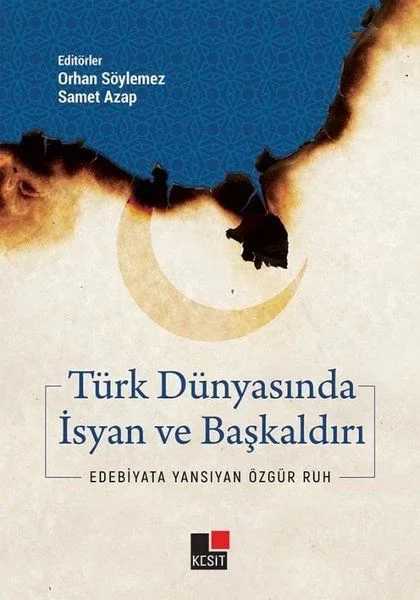 Türk Dünyasında İsyan ve Başkaldırı Fiyatı, Yorumları ve Özellikleri