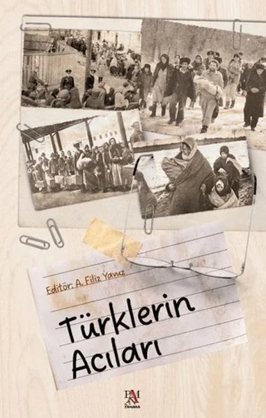Türklerin Acıları Fiyatı, Yorumları ve Özellikleri
