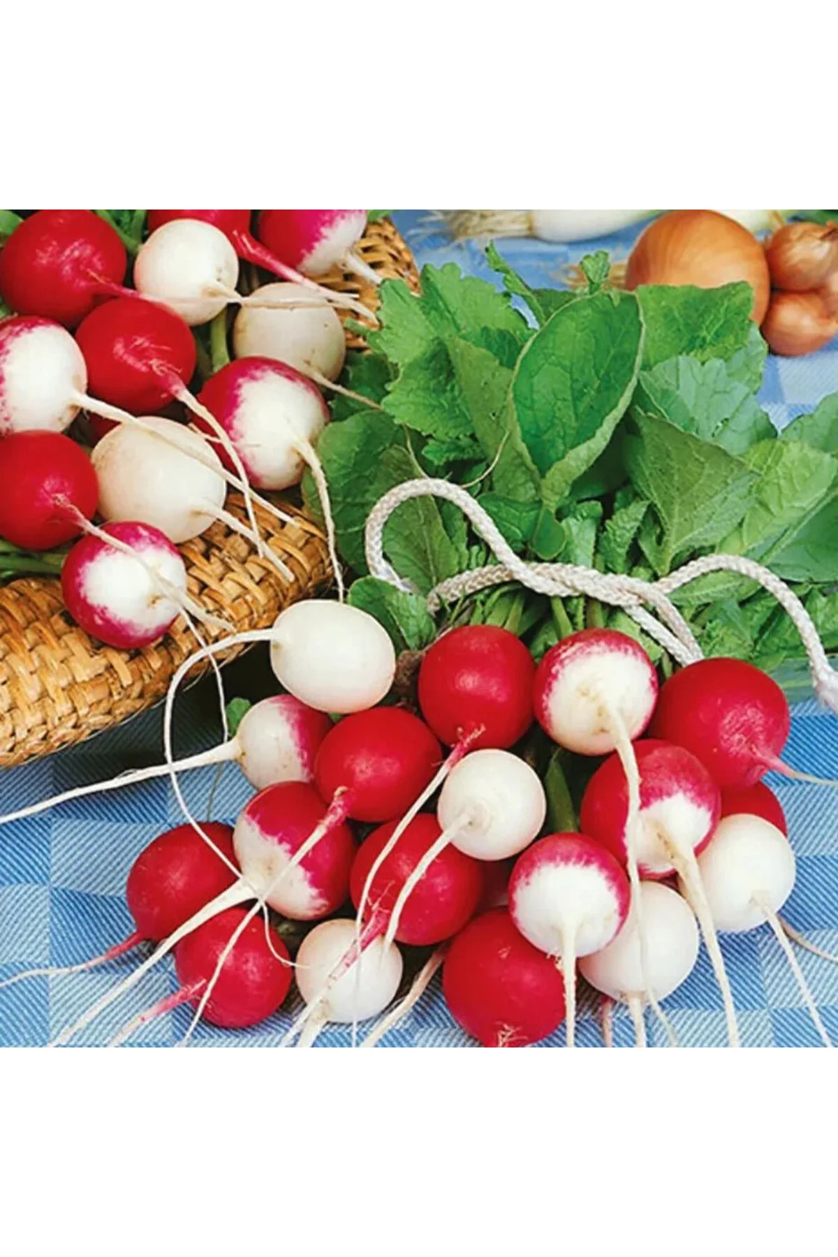 Turp tohumu confetti mix radish Turp tohumu confetti mix radish
