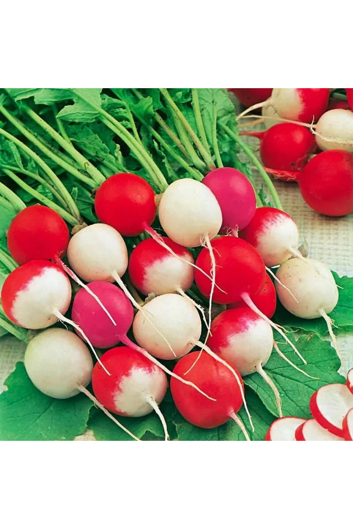Turp tohumu confetti mix radish Turp tohumu confetti mix radish